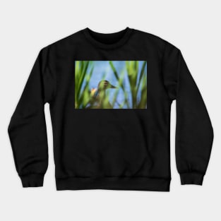 Concealed Crewneck Sweatshirt